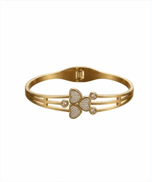 Pulseira rígida aço inoxidável Coleção alto acabamento
